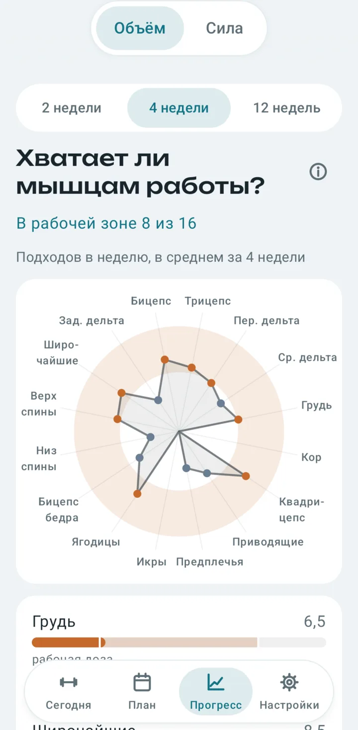 «Хватает ли мышцам работы?»: радар подходов в неделю по 16 мышцам, в рабочей зоне 8 из 16